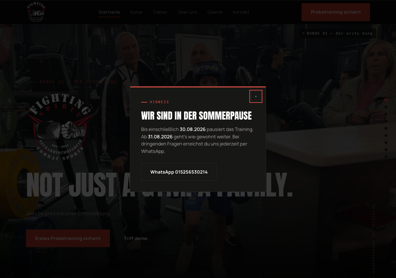 Startseite der Website von Fighting Spirit Neckarbischofsheim